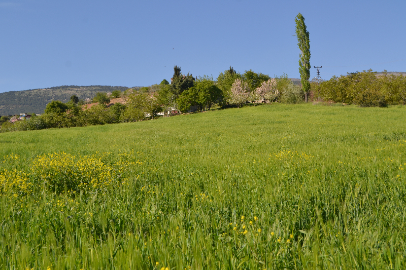 Kahramanmaraş