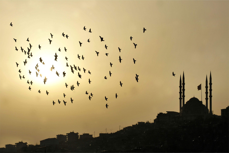 Kahramanmaraş