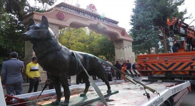 Yıllar Sonra Bulunan Bozkurt Heykeli Yerine Yerleştirildi