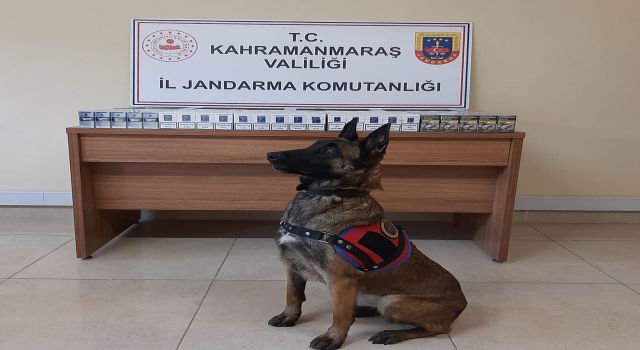 Kaçak Sigara Ele Geçirildi