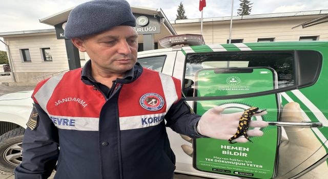 Semender’e jandarma sahip çıktı