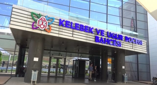 Kahramanmaraş’ta Kelebek Etkisi