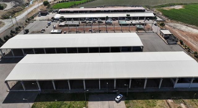 Canlı Hayvan Borsası’nda Besiciler Yerini Almaya Başladı