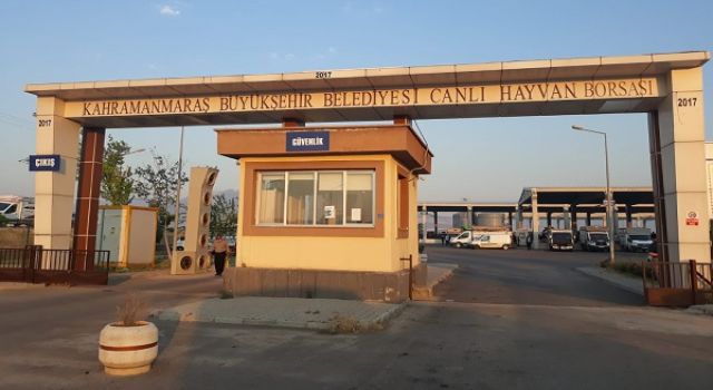 Canlı Hayvan Borsası’nda Kurban Satış Yerleri Kiralama İşlemi 15 Mayıs’ta Başlayacak