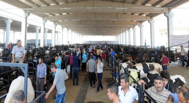 Kurbanlık Hayvan Satış Fiyatları Belirlendi