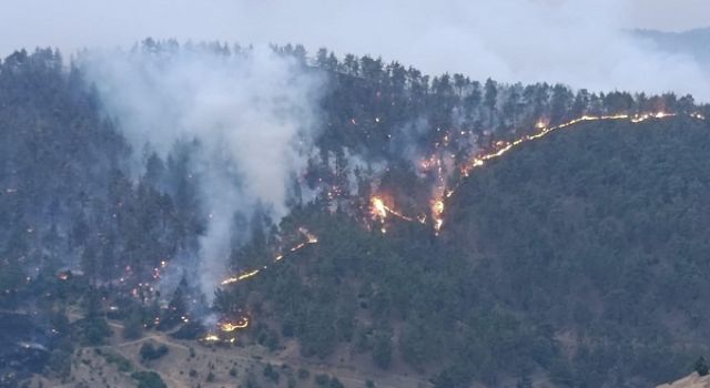 Büyükşehir İtfaiyesi Çamlıbel’deki Yangınına Müdahale İçin Seferber Oldu
