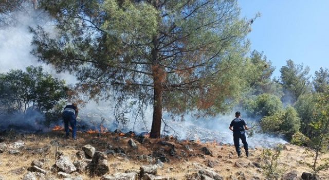 Kahramanmaraş’ta piknik yapmak istediler ormanı yaktılar