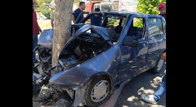 Otomobil ağaca çarptı: 1 yaralı