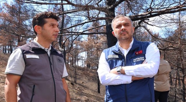 Başkan Toptaş, Çamlıbel-Çakırdere’deki mühürleme çalışmalarını inceledi