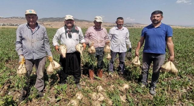 Depremzede çiftçiler pancar üretiminde devrim yaptı 