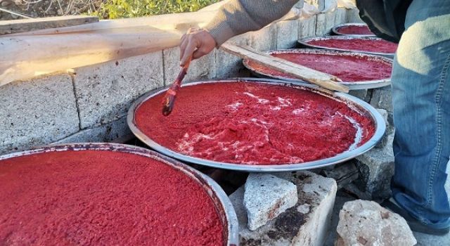 Kahramanmaraş’ta salça mesaisi