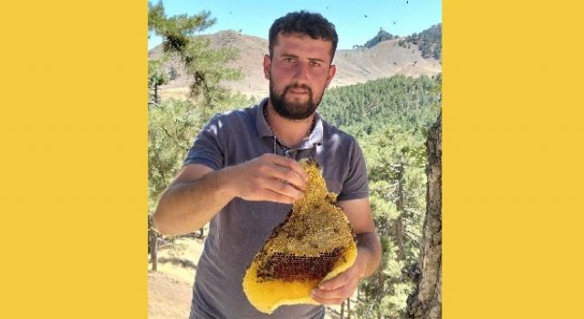 Kahramanmaraş’ta arıların izini sürerek para kazanıyor 