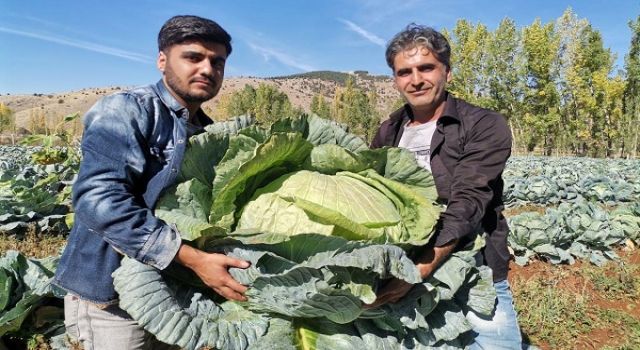 Kahramanmaraş’ta ‘Devler’ yola çıktı