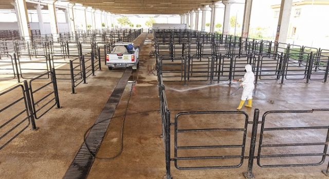 Büyükşehir’den Canlı Hayvan Pazarı’nda Halk Sağlığı İçin Kapsamlı Çalışma