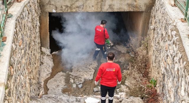 Büyükşehir, Vektör Zararlılara Karşı Kışlak İlaçlamanın Startını Verdi