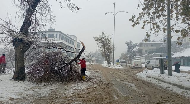 Büyükşehir Kış Mesaisini Sürdürüyor; Kırılan Dallara Anında Müdahale