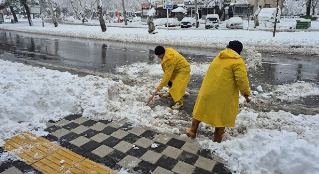 Büyükşehir, Yürüyüş Yollarını da Temizliyor