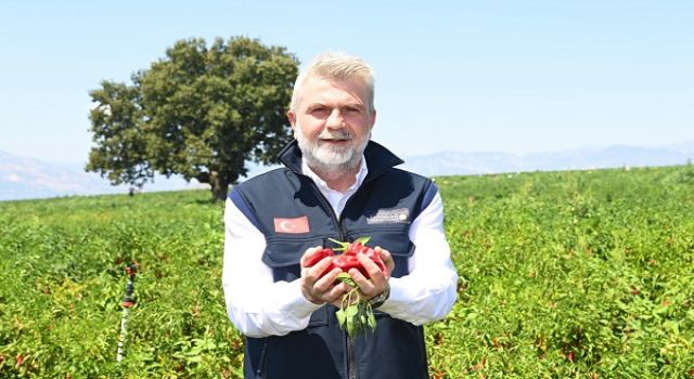 Büyükşehir’den 2025’te Çiftçiye 100 Milyonluk Destek, Üretime Güç