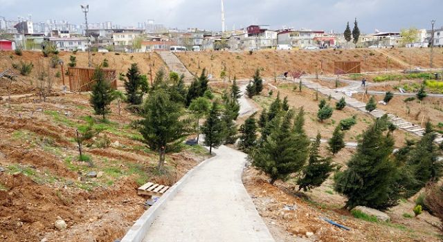 Karbon Yutak Alanı’nda Çalışmalar Sürüyor