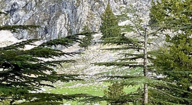 Kayalıklardan düşen vatandaş hayatını kaybetti