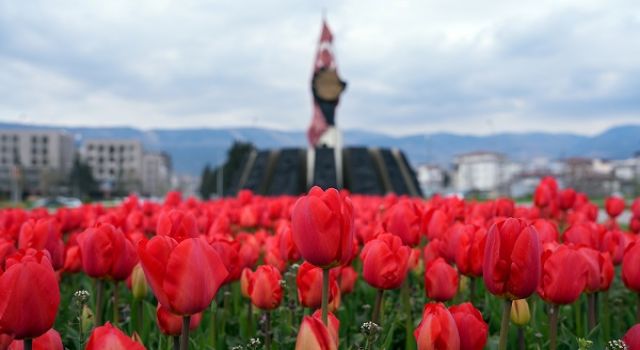 Şehir Çiçek Açtı; Kavşaklarda Görsel Şölen