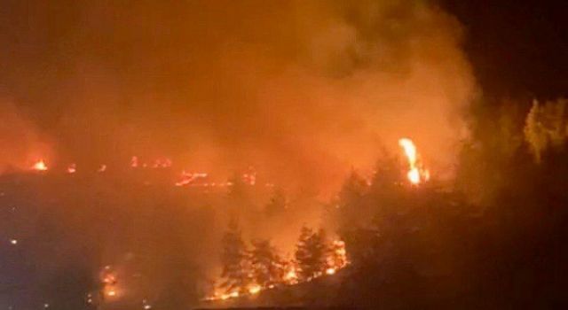 Kahramanmaraş’ta Ormanı Yakan Sanığa Hapis ve Milyonluk Tazminat