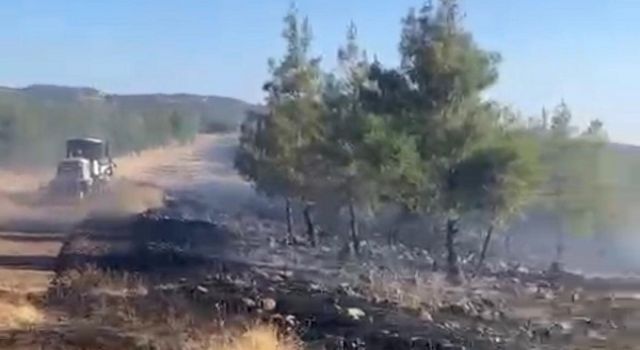 Gaziantep’te orman yangını kontrol altına alındı