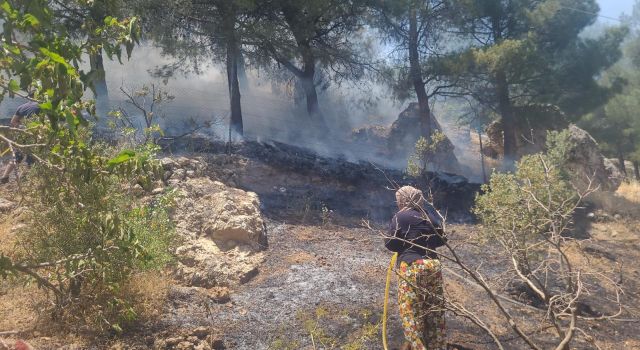 Ormanlık Alanda Çıkan Yangın Söndürüldü