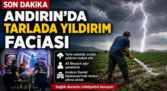 Tarlada Yıldırım İsabet Etti: 1 Kişi Ağır Yaralandı