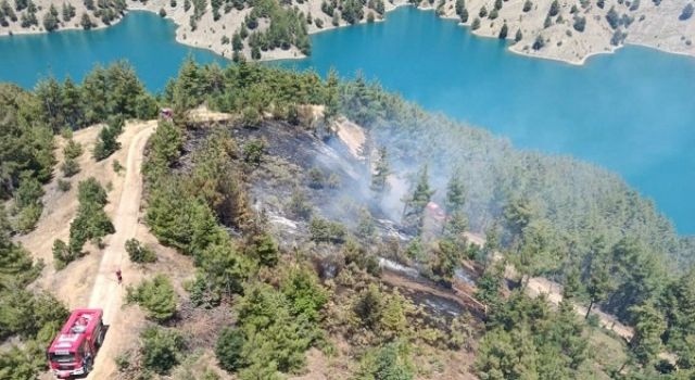 Kahramanmaraş’ta orman yangını