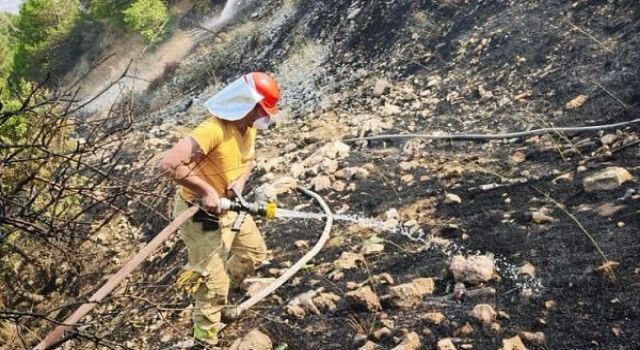 Orman yangını kontrol altına alındı