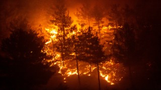Hassa'da Orman Yangını Sürüyor