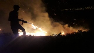 Hatay'da çıkan örtü yangını kontrol altına alındı