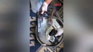 Yoğurt kapında kaçak silah operasyonu 