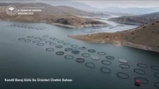Kahramanmaraş’ta yıllık üretimi 17 bin tona ulaştı 