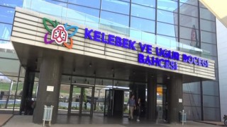 Kahramanmaraş’ta Kelebek Etkisi