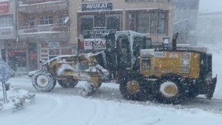 Büyükşehir, Şehir Genelinde Kar Mesaisinde
