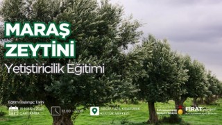 Büyükşehir’den Zeytin Üretimine Katma Değer; Maraş Zeytini Yetiştiriciliği Eğitimi