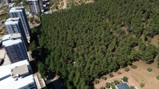 Kahramanmaraş’ta Orman Parkı İhalesine Tepki
