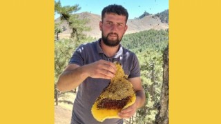 Kahramanmaraş’ta arıların izini sürerek para kazanıyor 