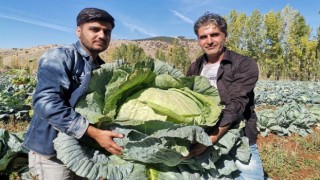 Kahramanmaraş’ta ‘Devler’ yola çıktı