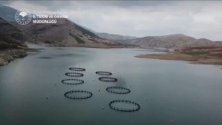 Kahramanmaraş rekora koşuyor