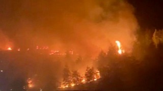 Kahramanmaraş’ta Ormanı Yakan Sanığa Hapis ve Milyonluk Tazminat