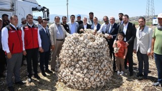 Başkan Görgel: “Pazarcık Sarımsağının Tescil Süreci Sona Geldi”