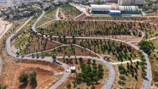 Büyükşehir’in ‘Yeşil Dönüşüm’ Hamlesi Karbon Yutak Alanı’nda Çalışmalar Sürüyor