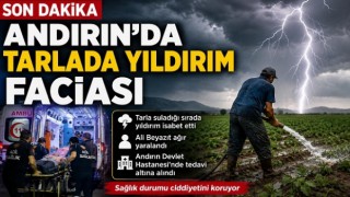 Tarlada Yıldırım İsabet Etti: 1 Kişi Ağır Yaralandı