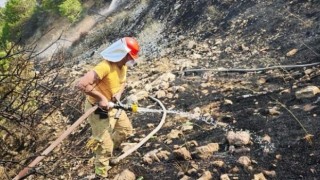 Orman yangını kontrol altına alındı
